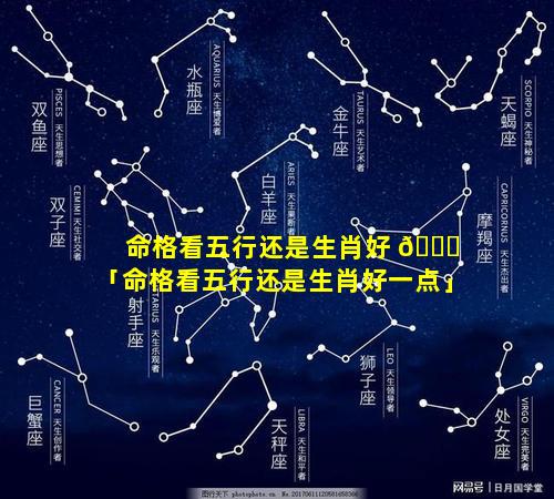 命格看五行还是生肖好 🕊 「命格看五行还是生肖好一点」